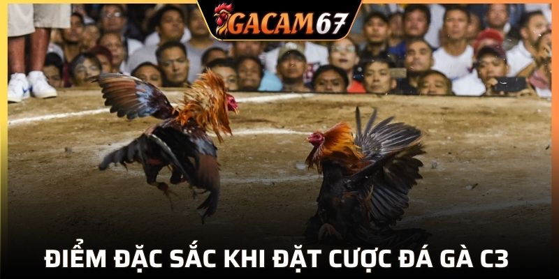 Điểm đặc sắc khi đặt cược đá gà C3 GACAM67