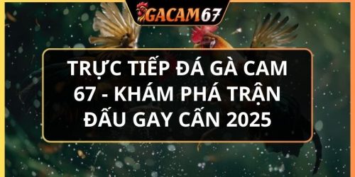 trực tiếp đá gà cam 67