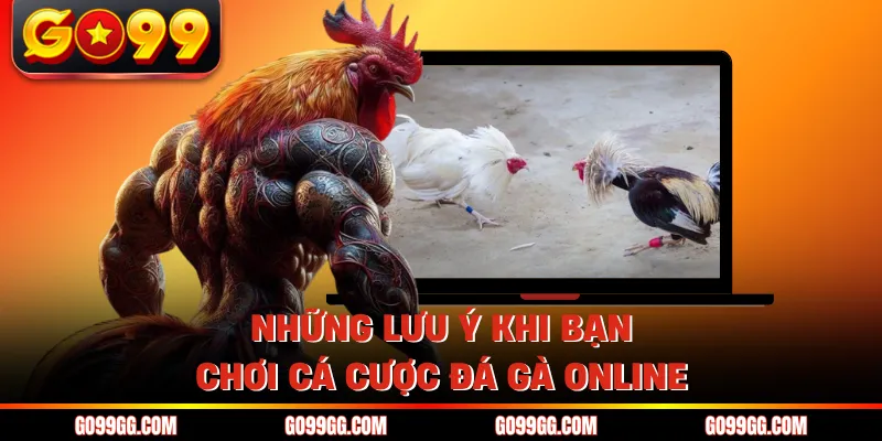 Luật Chơi Đá Gà Thomo - Các Quy Định Dành Cho Kê Thủ 5 Những lưu ý khi bạn chơi cá cược đá gà online